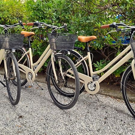 Ampio, Elegante Apt Con Aria Condizionata E Bici Gratis Viareggio Exteriér fotografie